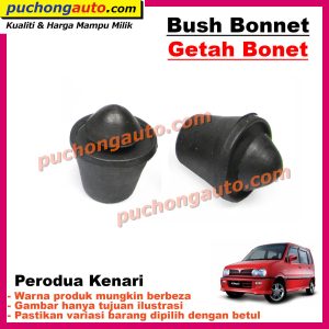Bush-Bonnet-Kenari