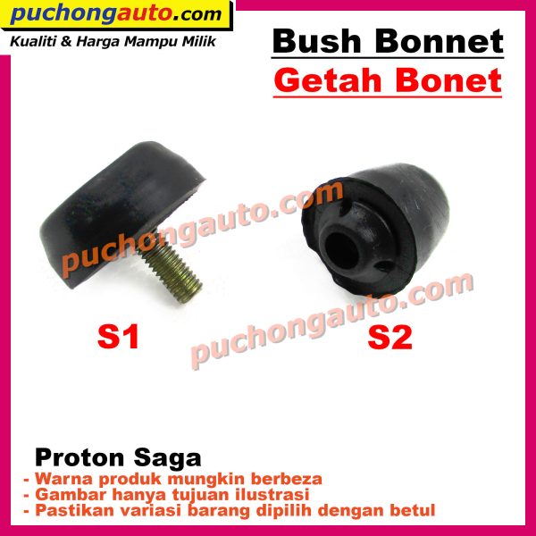 Bush-Bonnet-Saga
