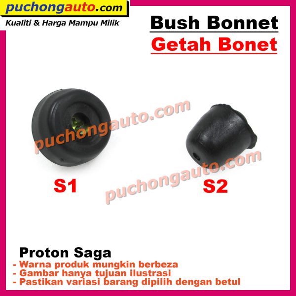 Bush-Bonnet-Saga